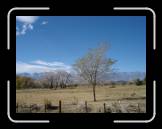 DSC03022 * 2592 x 1944 * (2.12MB)