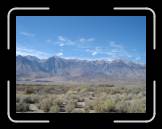 DSC03058 * 2592 x 1944 * (2.1MB)