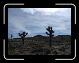 DSC03101 * 2592 x 1944 * (2.33MB)