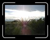 DSC03227 * 2592 x 1944 * (2.37MB)