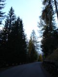 DSC00806 * 1944 x 2592 * (1.71MB)