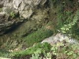 DSC00833 * 2592 x 1944 * (2.38MB)