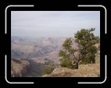 DSC03533 * 2592 x 1944 * (2.39MB)