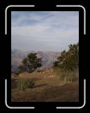 DSC03549 * 1944 x 2592 * (1.43MB)