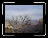 DSC03584 * 2592 x 1944 * (2.23MB)