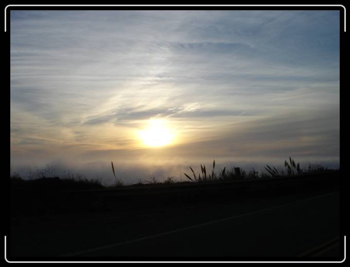 You have reached the last slide