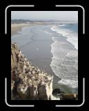 DSC02284 * 1944 x 2592 * (2.07MB)