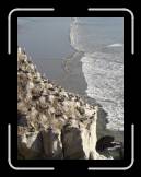 DSC02285 * 1944 x 2592 * (2.04MB)