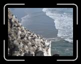 DSC02286 * 2592 x 1944 * (2.39MB)