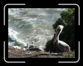 DSC02289 * 2592 x 1944 * (2.25MB)