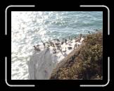 DSC02294 * 2592 x 1944 * (2.16MB)