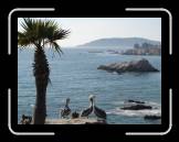 DSC02297 * 2592 x 1944 * (2.3MB)