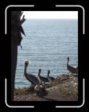 DSC02299 * 1944 x 2592 * (2.12MB)