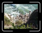 DSC02301 * 2592 x 1944 * (2.36MB)