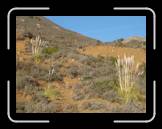 DSC02326 * 2592 x 1944 * (2.21MB)