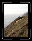 DSC02329 * 1944 x 2592 * (1.99MB)