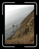 DSC02337 * 1944 x 2592 * (2.52MB)