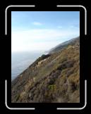 DSC02338 * 1944 x 2592 * (2.07MB)