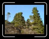 DSC02343 * 2592 x 1944 * (2.37MB)