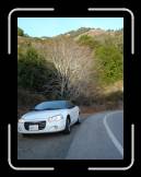 DSC02351 * 1944 x 2592 * (2.6MB)