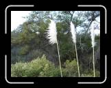 DSC02353 * 2592 x 1944 * (2.43MB)