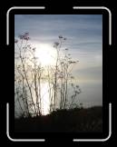 DSC02362 * 1944 x 2592 * (1.84MB)