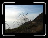 DSC02364 * 2592 x 1944 * (2.47MB)