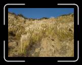 DSC02368 * 2592 x 1944 * (2.45MB)