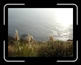 DSC02373 * 2592 x 1944 * (2.22MB)