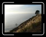 DSC02374 * 2592 x 1944 * (2.11MB)