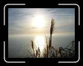 DSC02375 * 2592 x 1944 * (1.83MB)