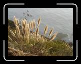 DSC02376 * 2592 x 1944 * (2.22MB)