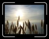 DSC02378 * 2592 x 1944 * (2.32MB)