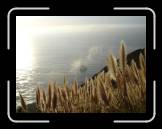 DSC02379 * 2592 x 1944 * (2.5MB)