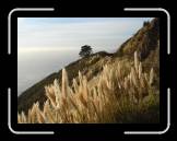 DSC02382 * 2592 x 1944 * (2.18MB)