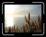 DSC02384 * 2592 x 1944 * (2.28MB)