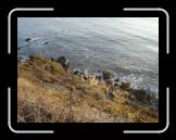 DSC02390 * 2592 x 1944 * (2.37MB)