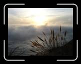 DSC02399 * 2592 x 1944 * (2.21MB)