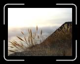 DSC02400 * 2592 x 1944 * (2.17MB)