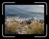 DSC02401 * 2592 x 1944 * (2.24MB)