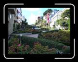 DSC02532 * 2592 x 1944 * (2.35MB)