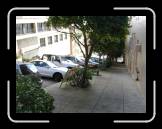 DSC02556 * 2592 x 1944 * (2.3MB)