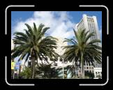 DSC02557 * 2592 x 1944 * (2.22MB)