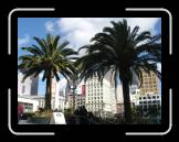 DSC02559 * 2592 x 1944 * (2.39MB)
