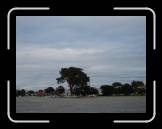DSC02633 * 2592 x 1944 * (1.91MB)