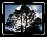 DSC02684 * 2592 x 1944 * (2.35MB)