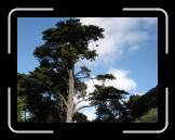 DSC02685 * 2592 x 1944 * (2.45MB)