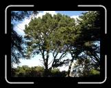 DSC02689 * 2592 x 1944 * (2.39MB)