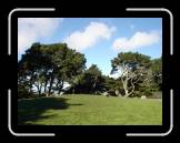DSC02697 * 2592 x 1944 * (2.35MB)