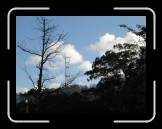 DSC02719 * 2592 x 1944 * (2.07MB)